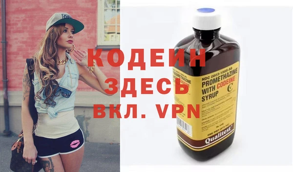 мет Няндома