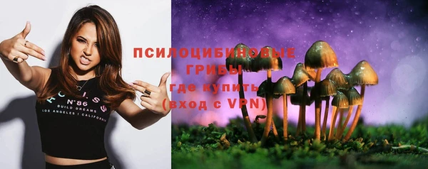 прущие грибы Ветлуга