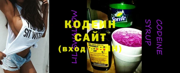 мет Няндома
