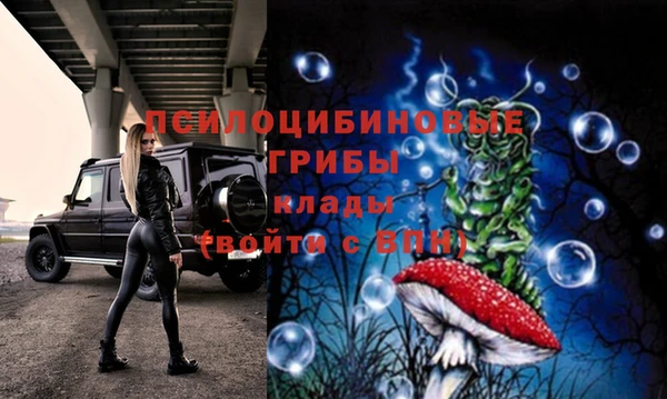 ГАЛЛЮЦИНОГЕННЫЕ ГРИБЫ Нягань