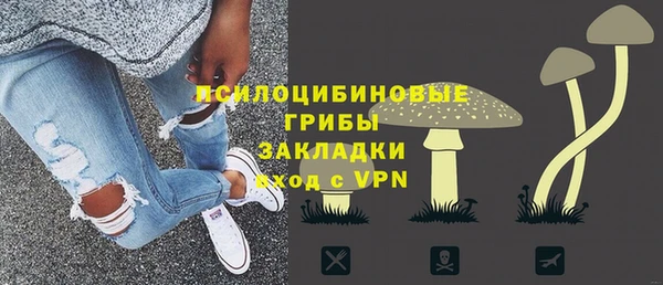 гидра Нязепетровск