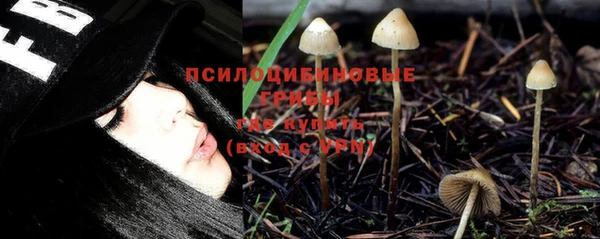 мет Няндома