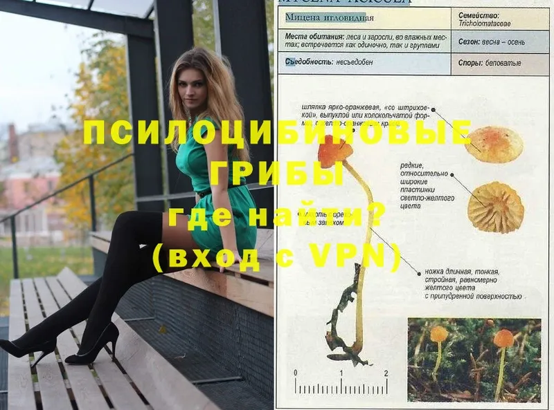 Галлюциногенные грибы GOLDEN TEACHER  Грозный 