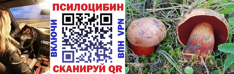 Галлюциногенные грибы Psilocybine cubensis  Грозный 
