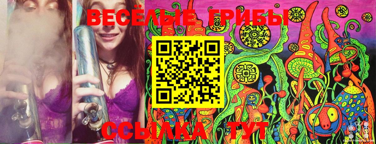 Галлюциногенные грибы прущие грибы Грозный