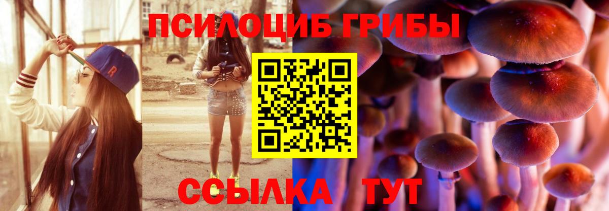 Грозный  Псилоцибиновые грибы Magic Shrooms  Вход с VPN 